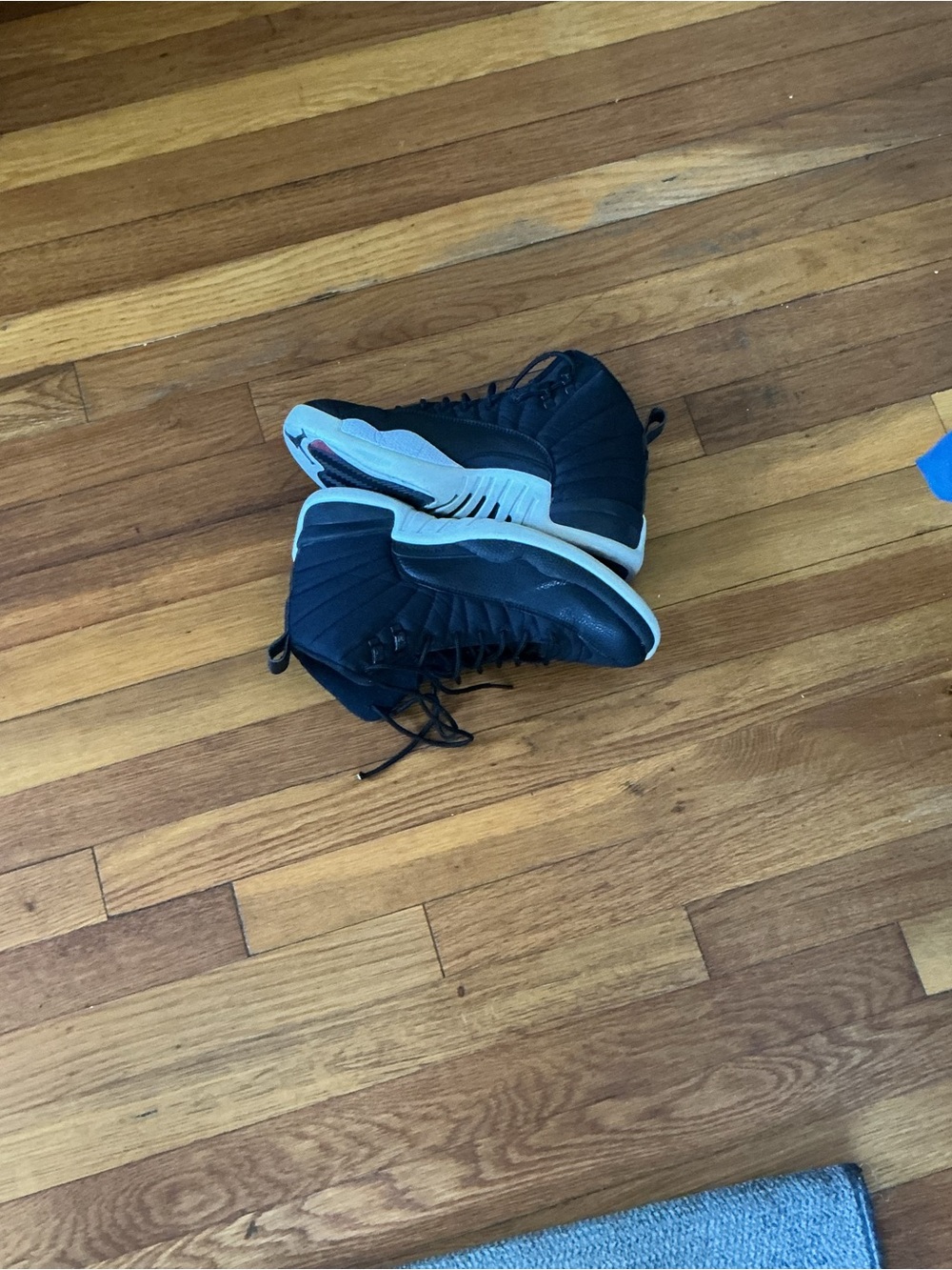 Jordan 12 neoprene